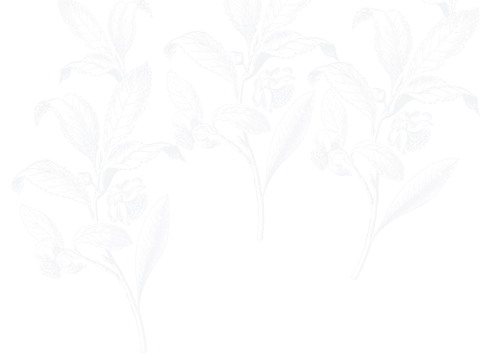 Slider Curve Graphic