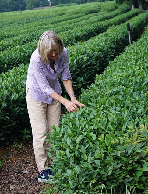 Dorothy's Brewing Tips