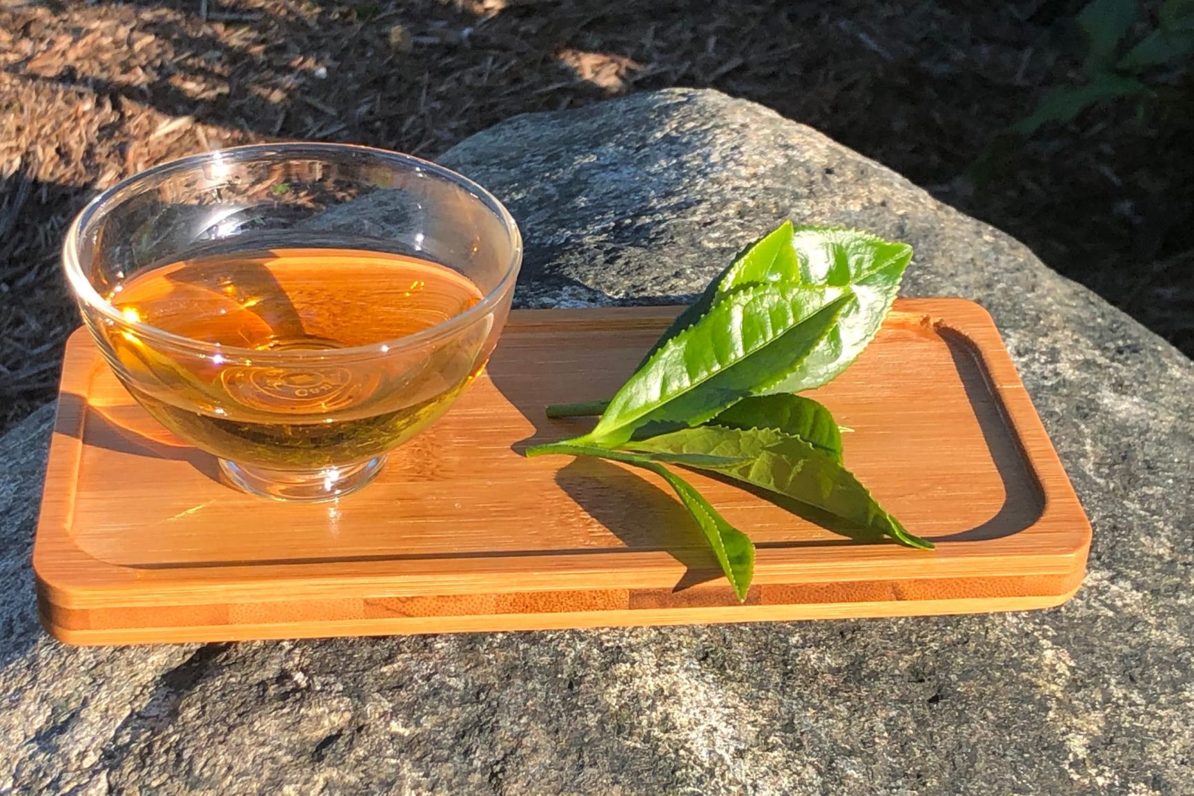 Tea Making in Scotland