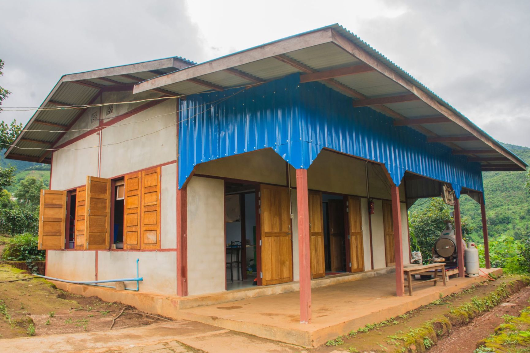 Dorothy Chats with Phyu Thwe, Founder of the Five Trees Tea Garden and Mogok Tea Company