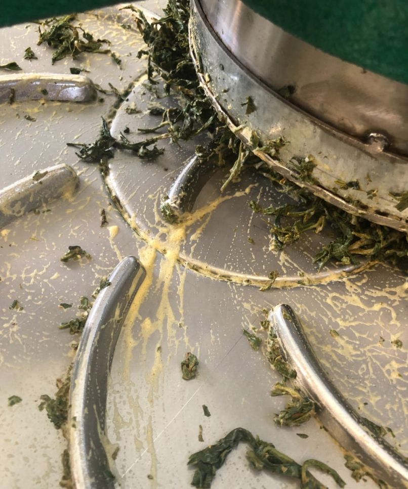 Tea Making in Scotland