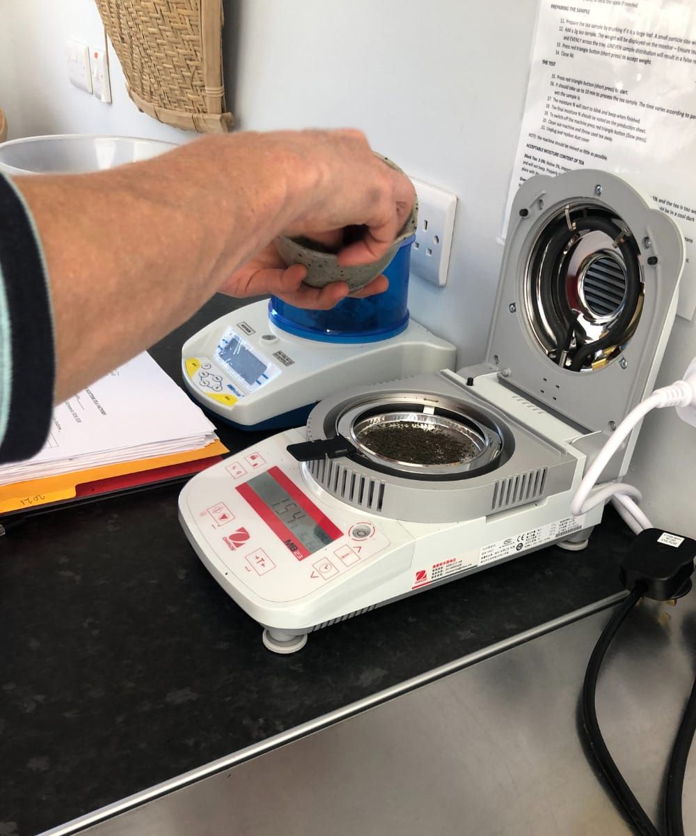 Tea Making in Scotland