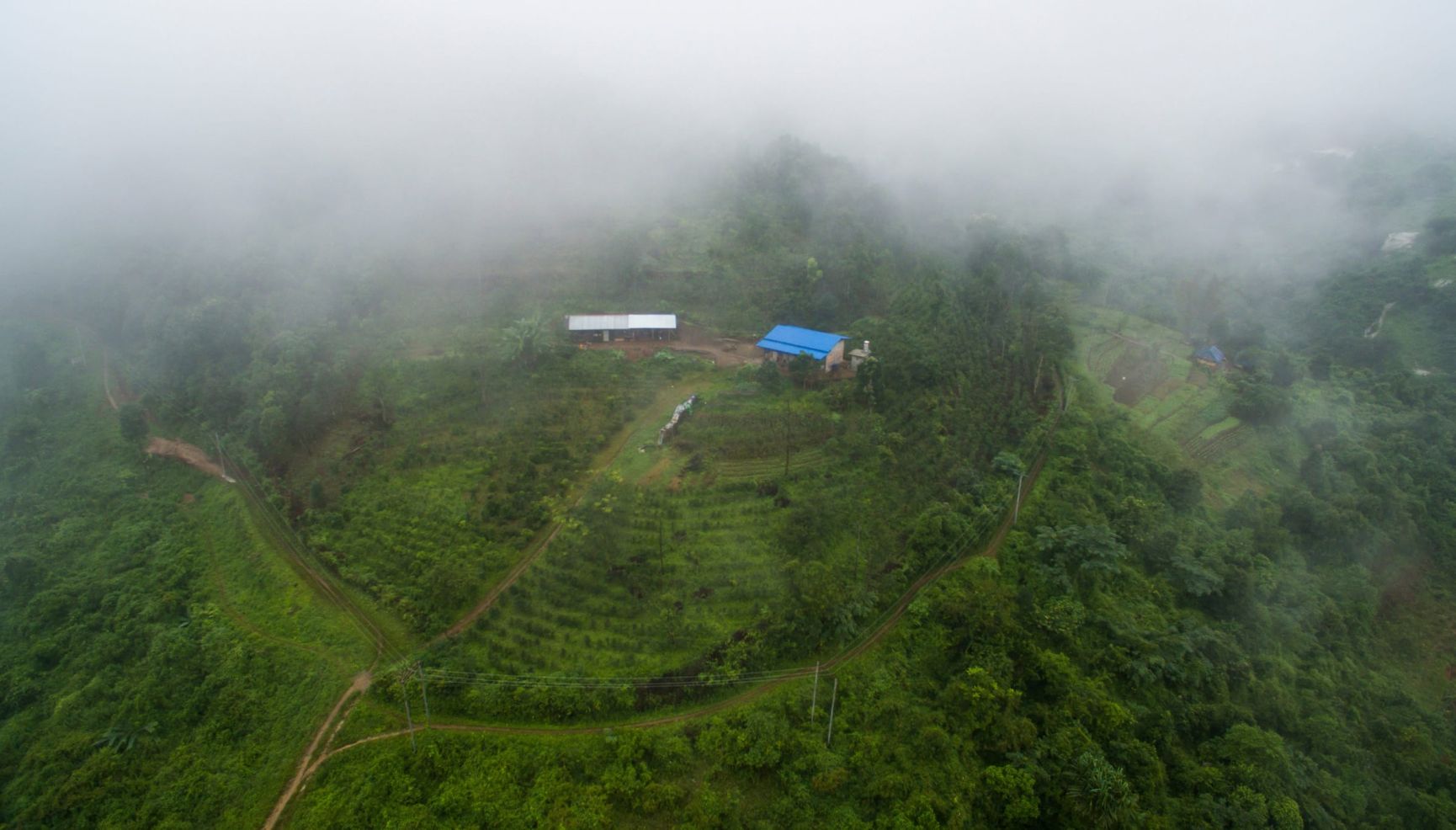 Dorothy Chats with Phyu Thwe, Founder of the Five Trees Tea Garden and Mogok Tea Company