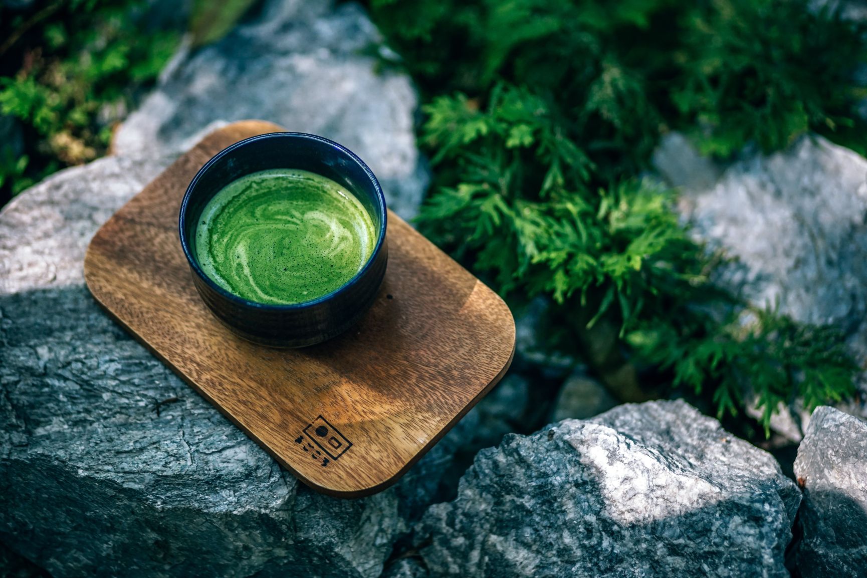 Everything You Need To Know About Matcha Tea
