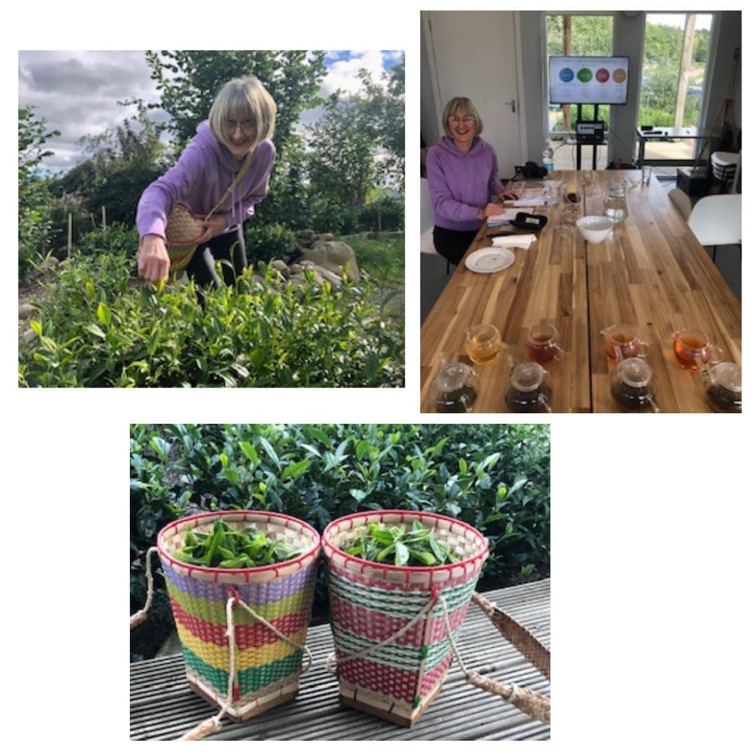 Tea Making in Scotland