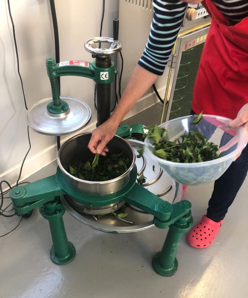 Tea Making in Scotland