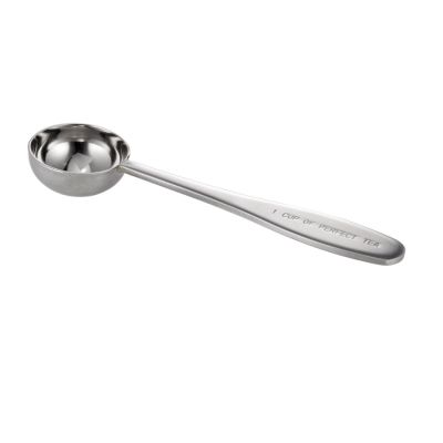 Stainless Steel Tea Scoop