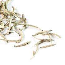 An image of St. Coombs Silver Needles